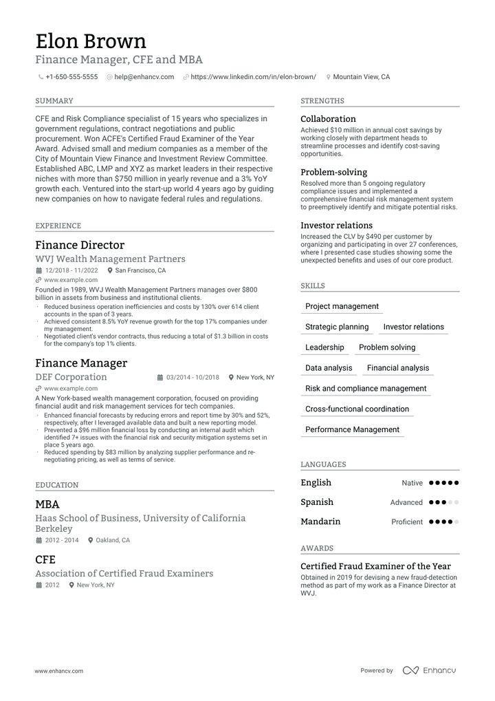 chief financial officer resume example