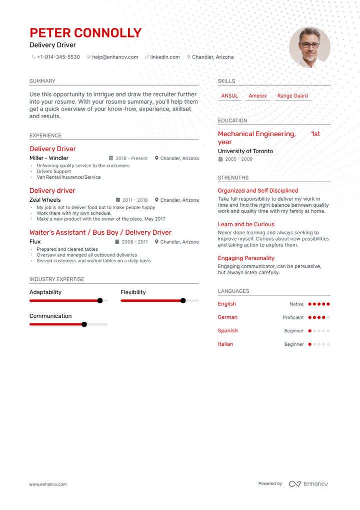 delivery driver resume example
