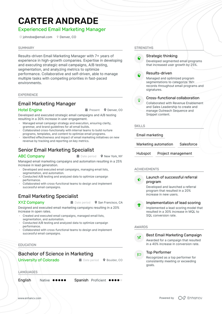 email marketing manager resume example