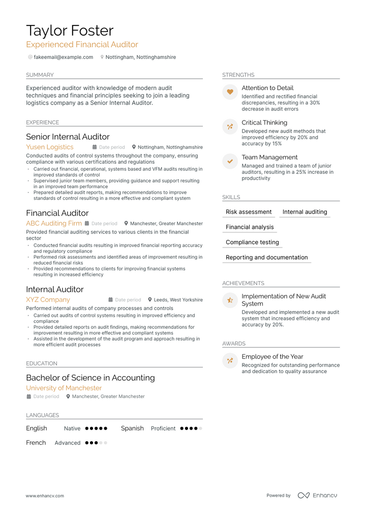 financial auditor resume example