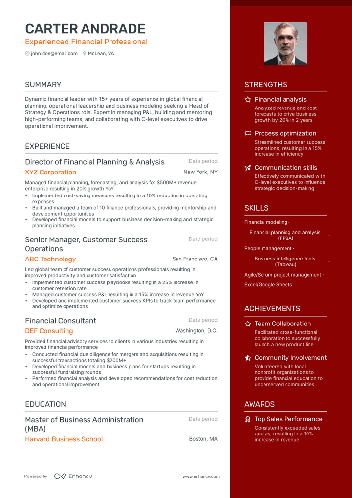 financial professional resume example