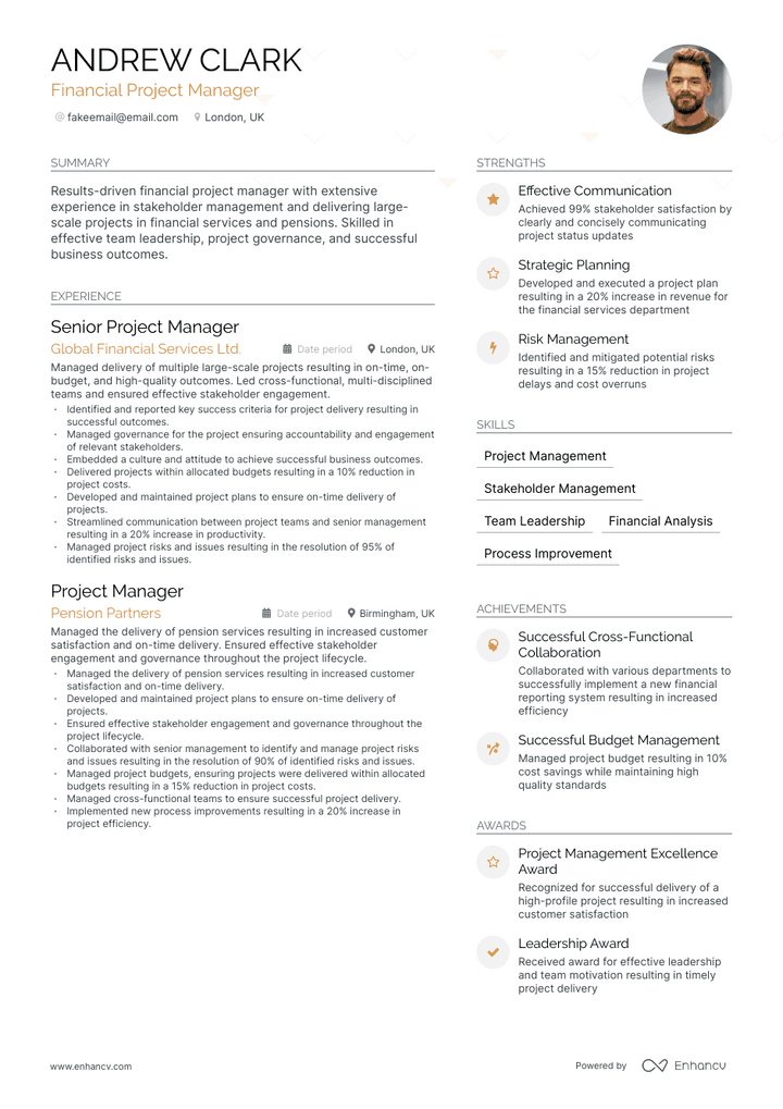 financial project manager resume example