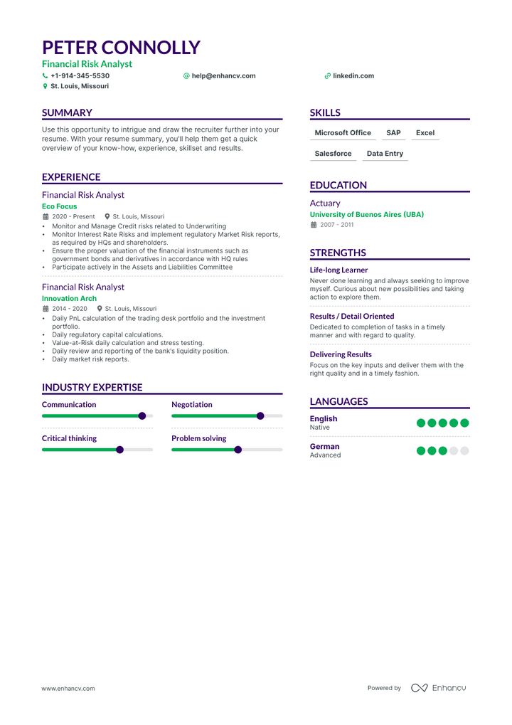 financial risk analyst resume example