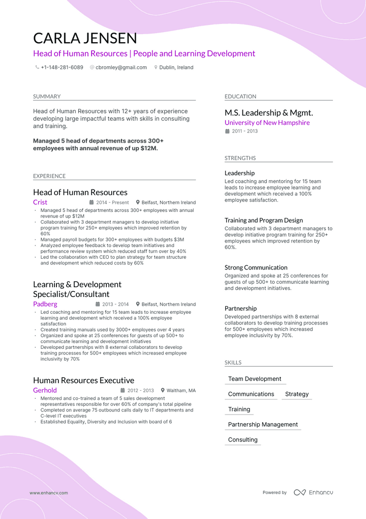 hr manager resume example