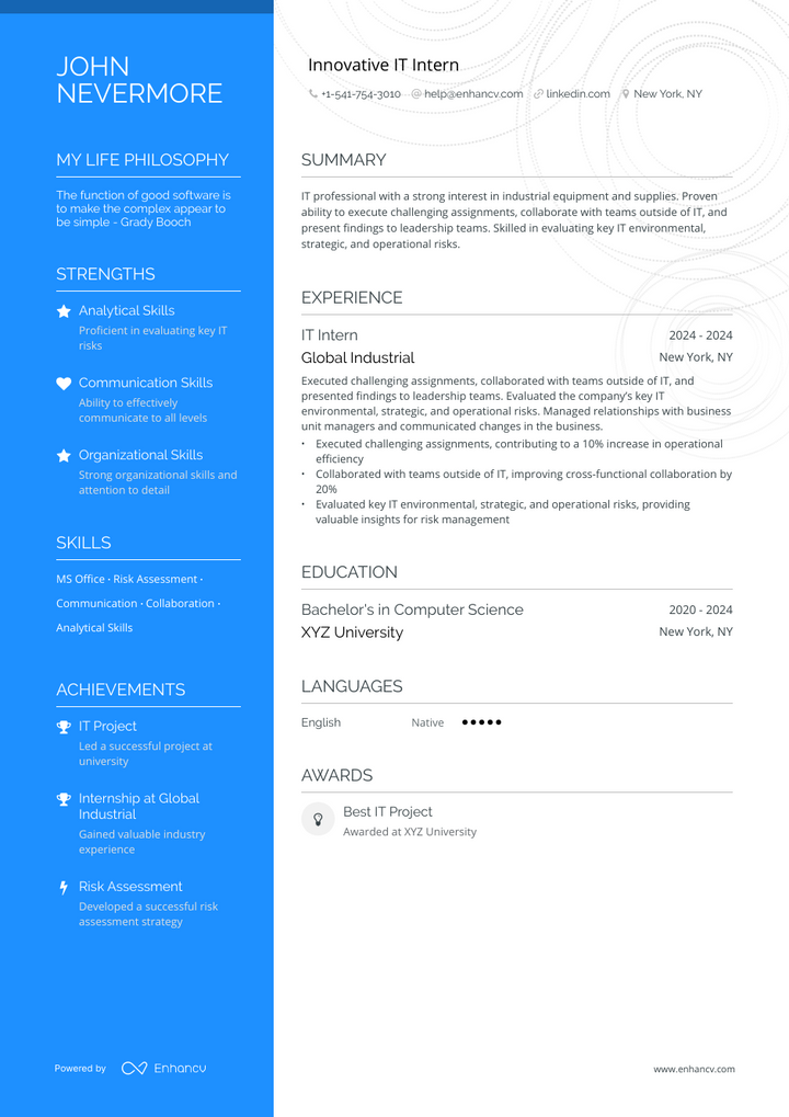 it intern resume example
