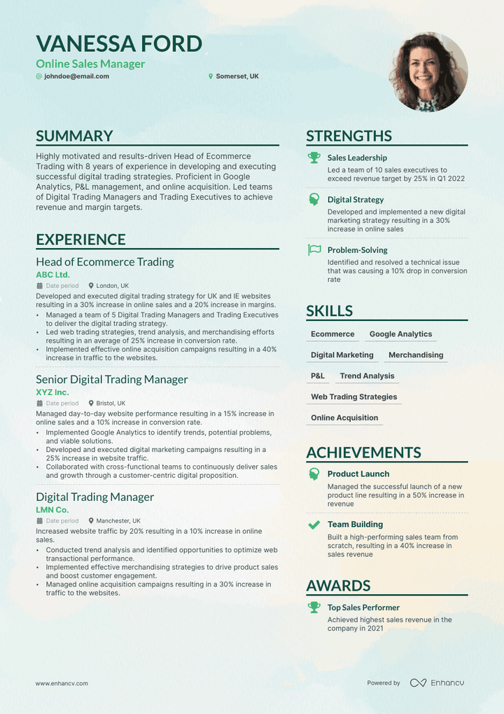 online sales manager resume example