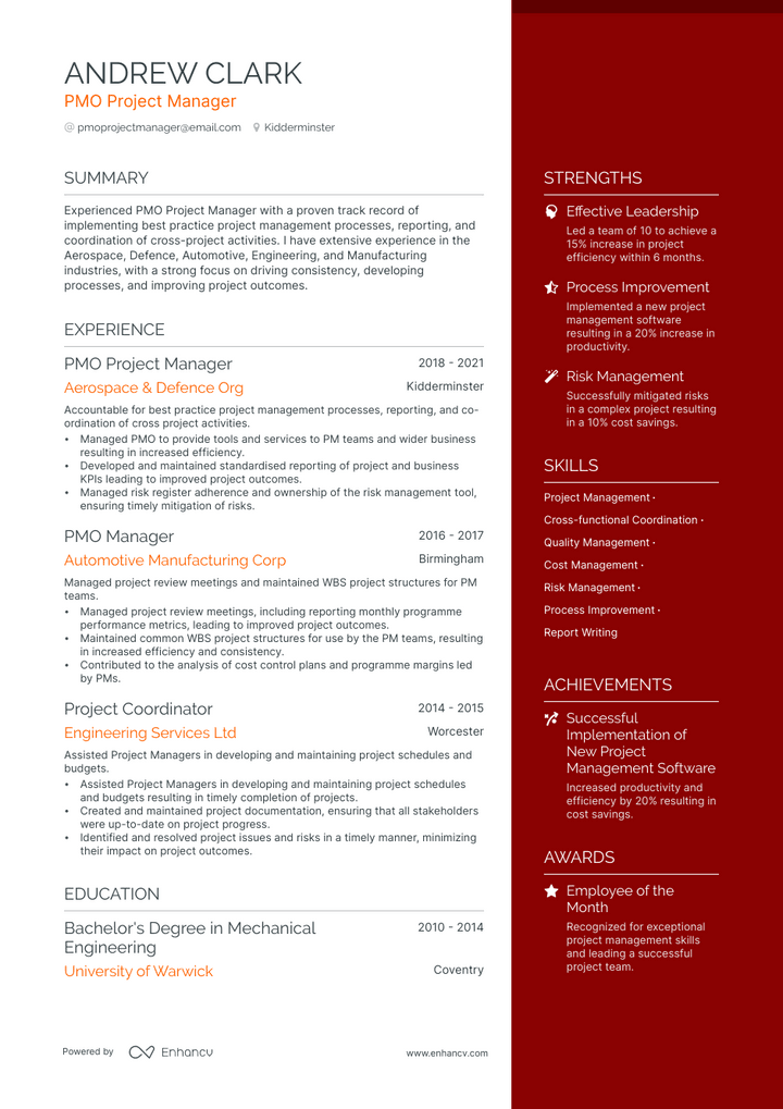 pmo manager resume example