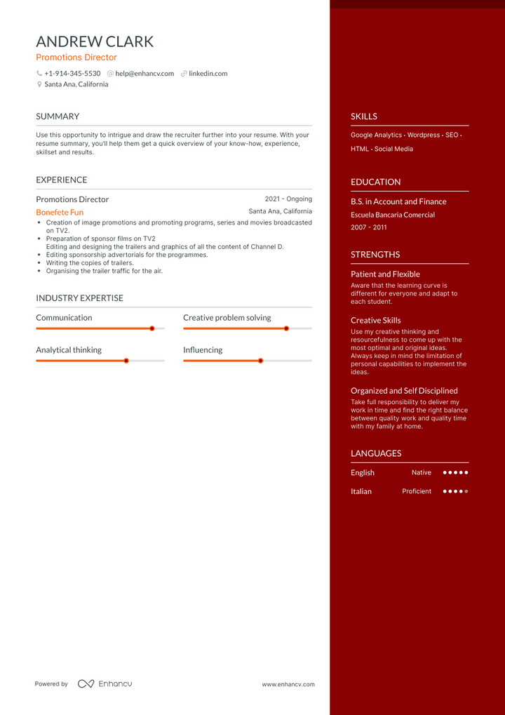 promotions director resume example