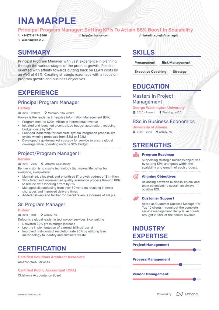 principal program manager resume example