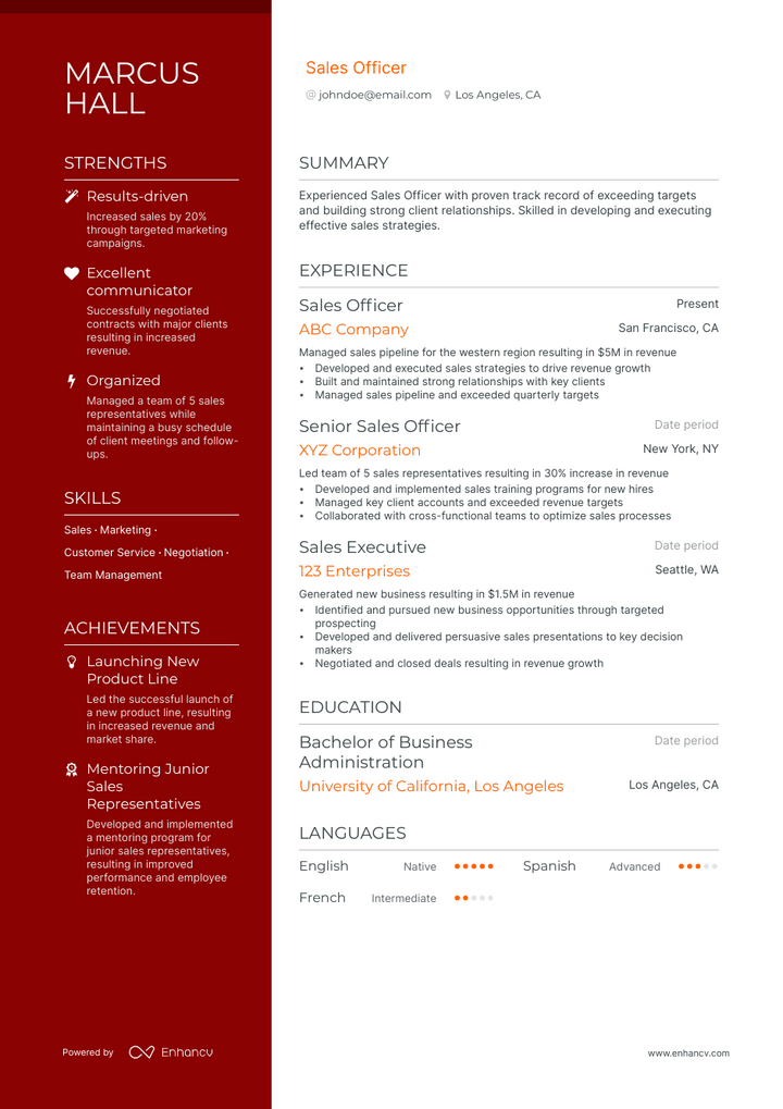 sales officer resume example