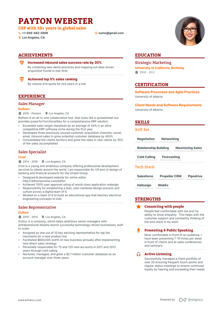 sales resume example