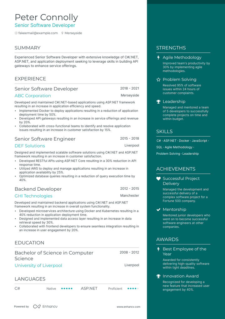 senior software developer resume example