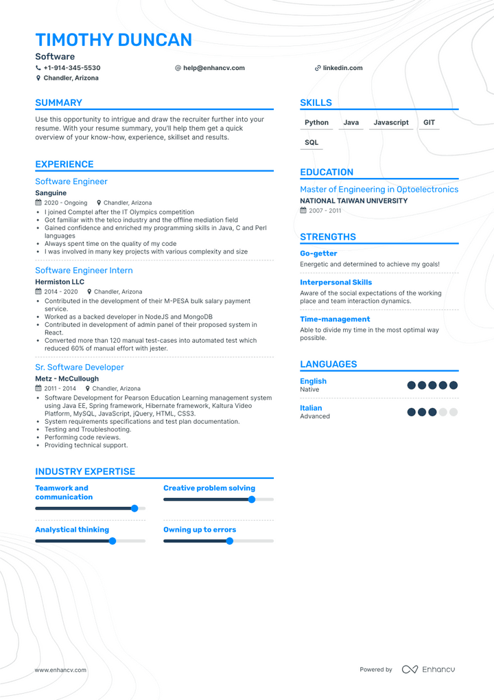 software resume example