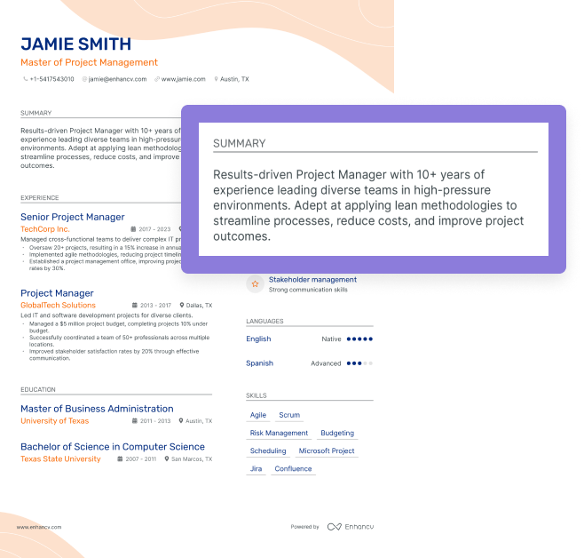 30+ Project Manager Resume Objective and Summary Examples with ...