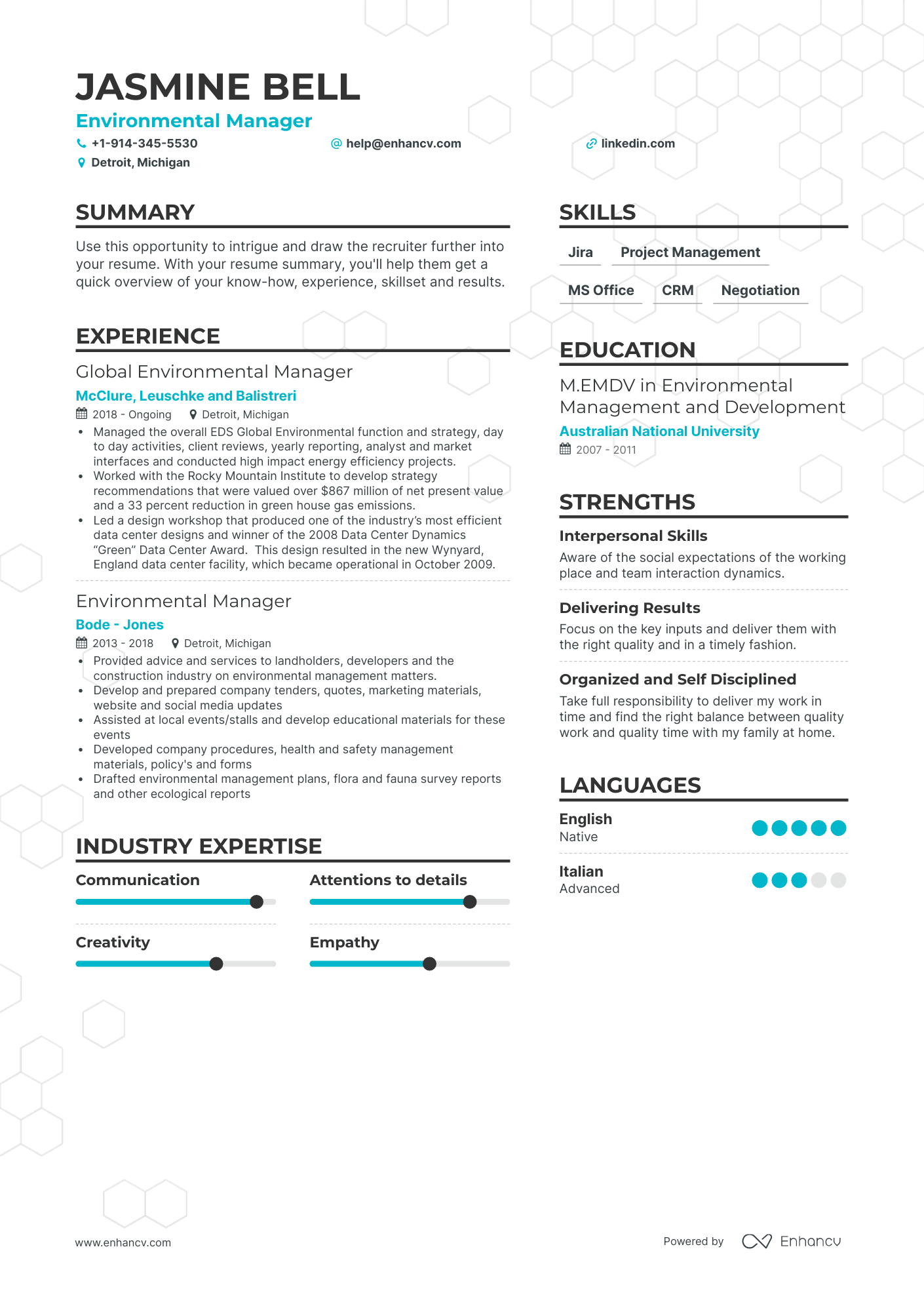 environmental manager resume examples