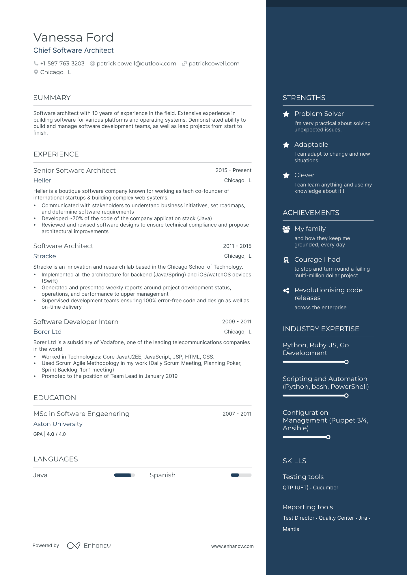 5 Software Architect Resume Examples & Guide for 2024