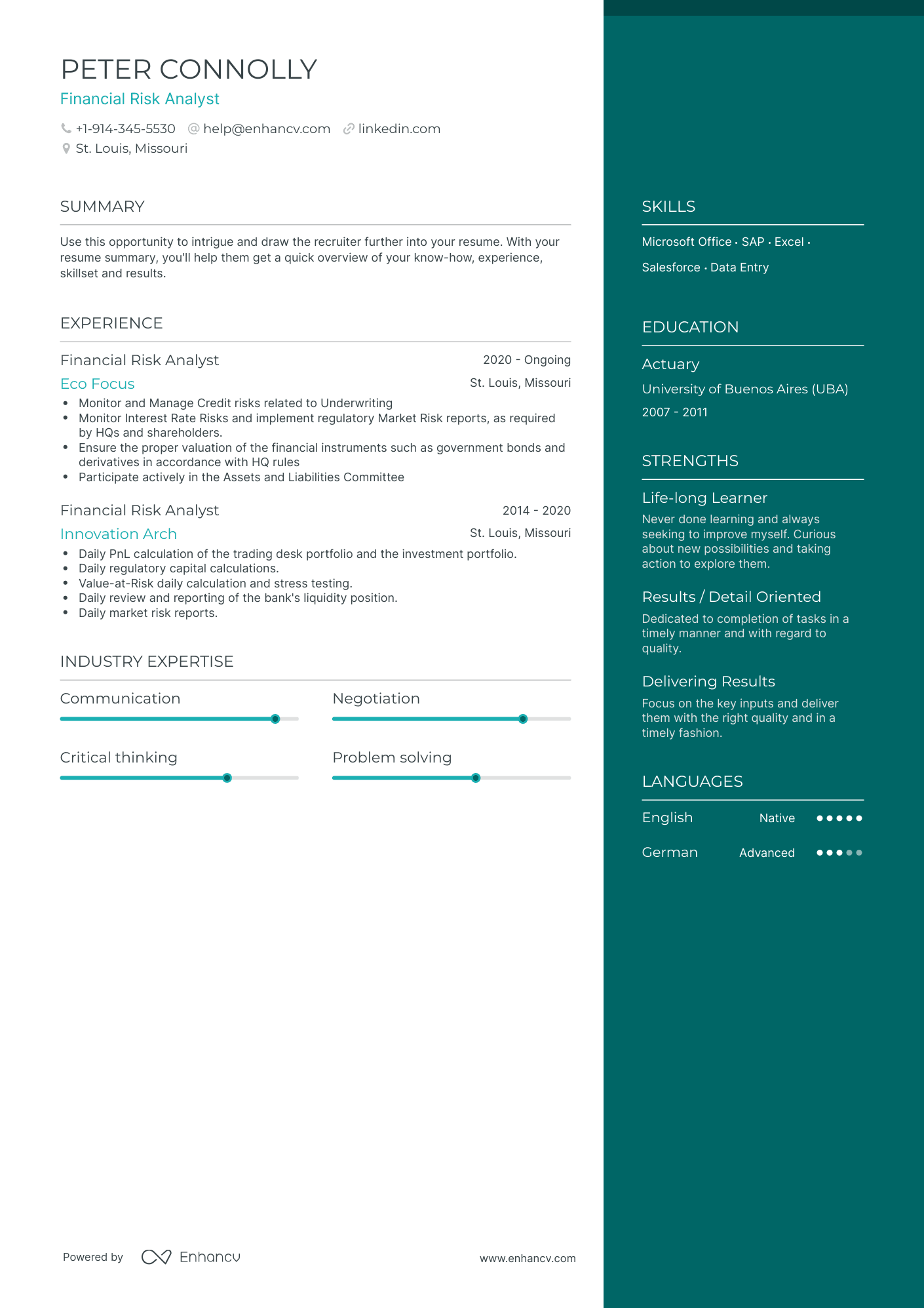 5 Financial Risk Analyst Resume Examples & Guide for 2024