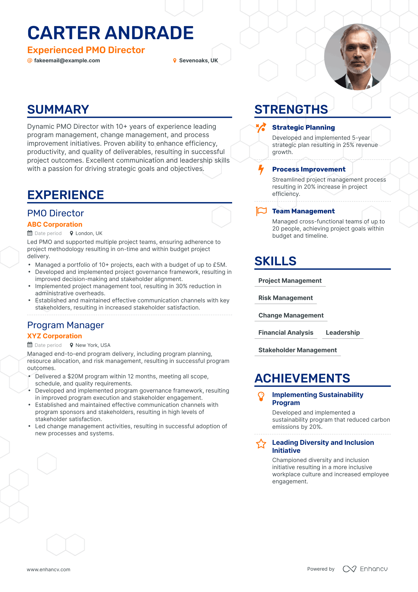 5 Pmo Director Resume Examples & Guide for 2023