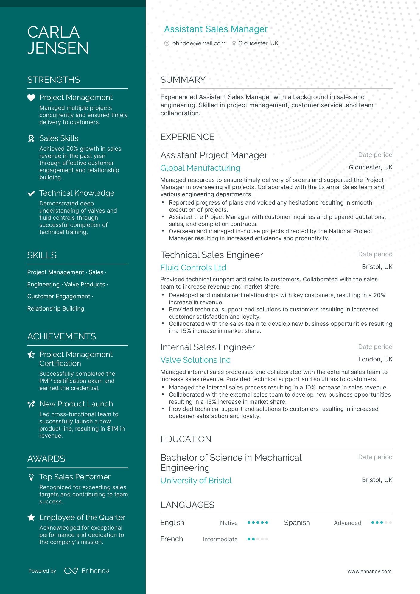 23 Sales Manager Resume Examples & Guide for 2024