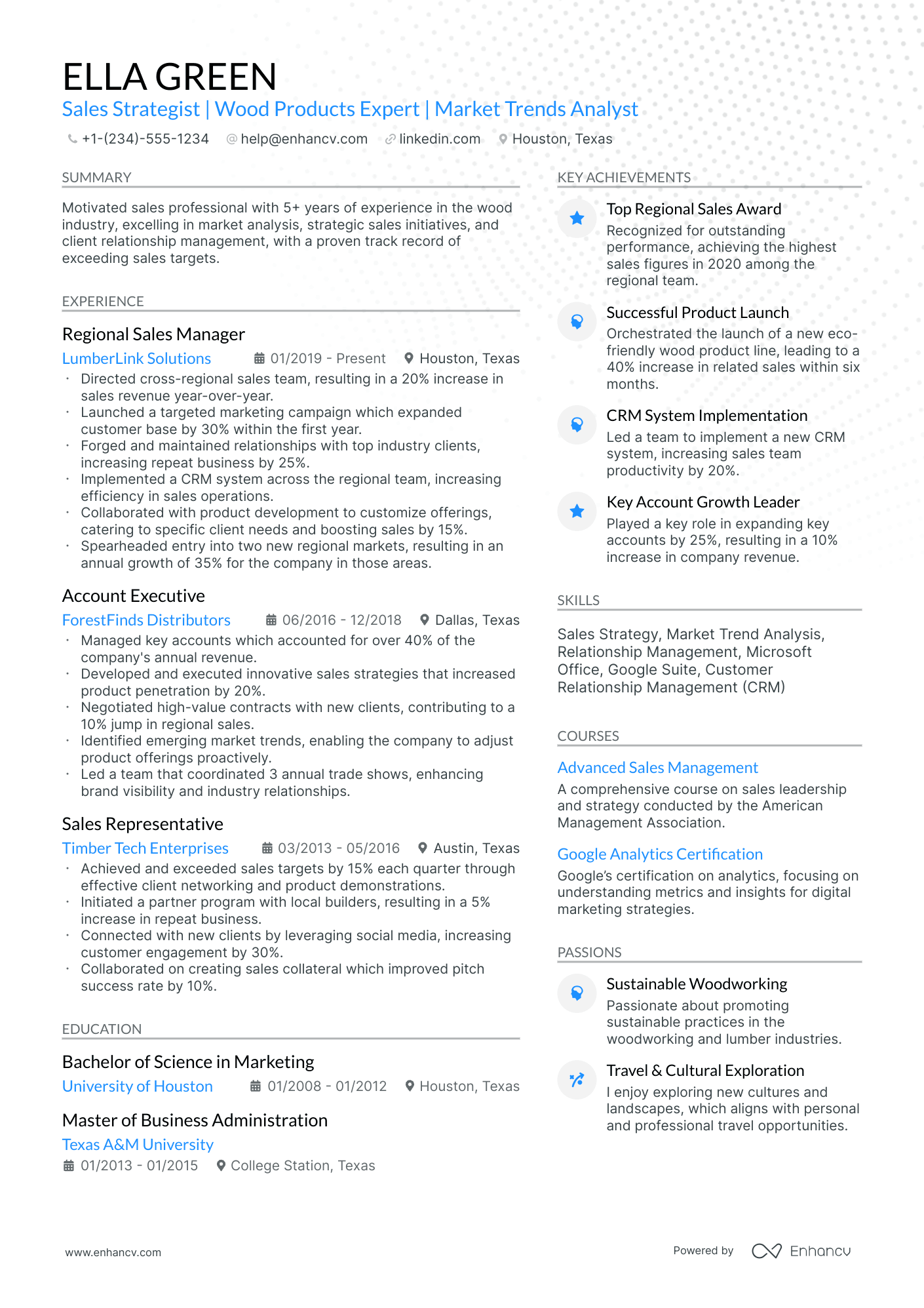 10 Sales And Marketing Executive Resume Examples & Guide for 2026