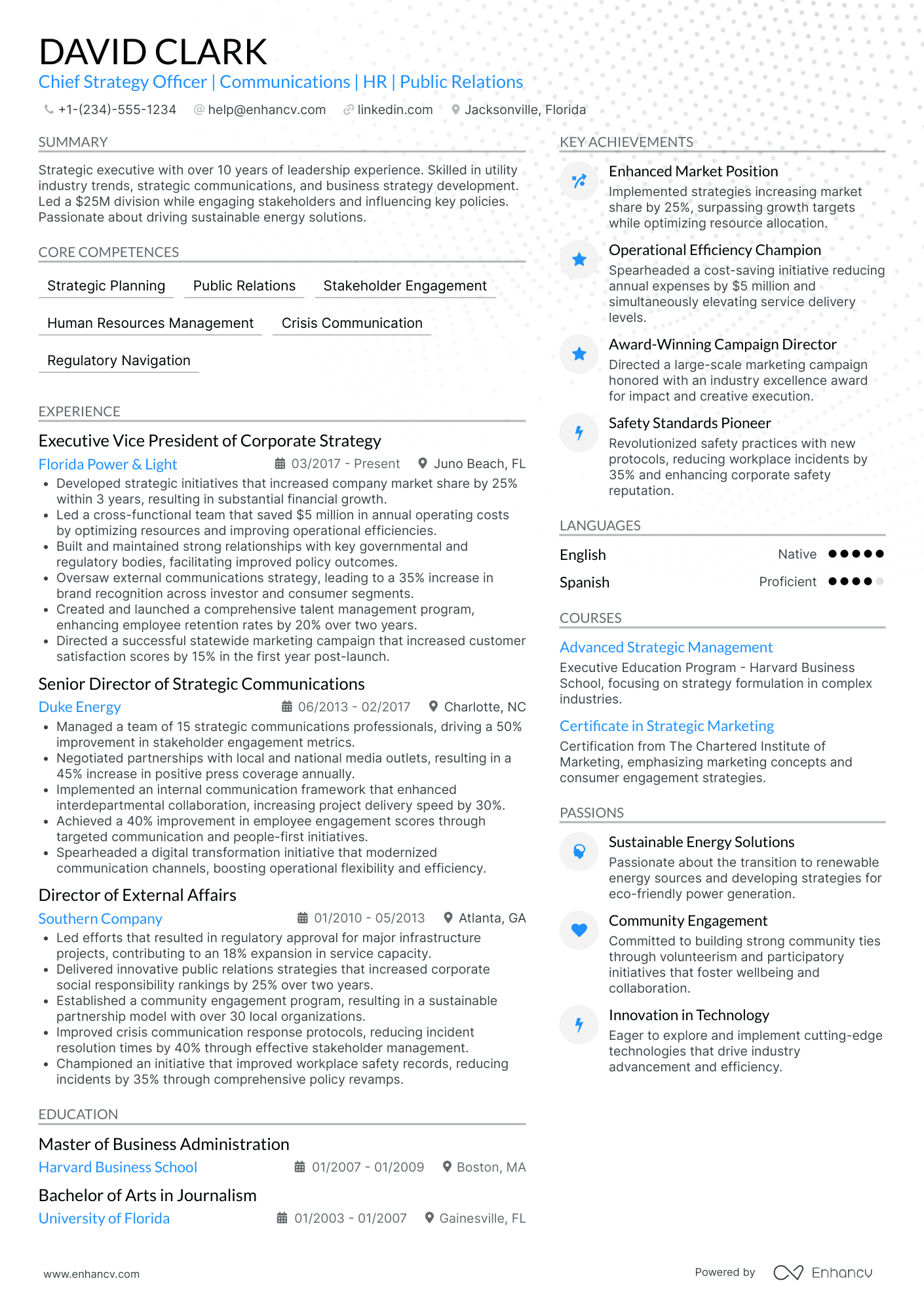 Chief Marketing and Strategy Officer Resume Example