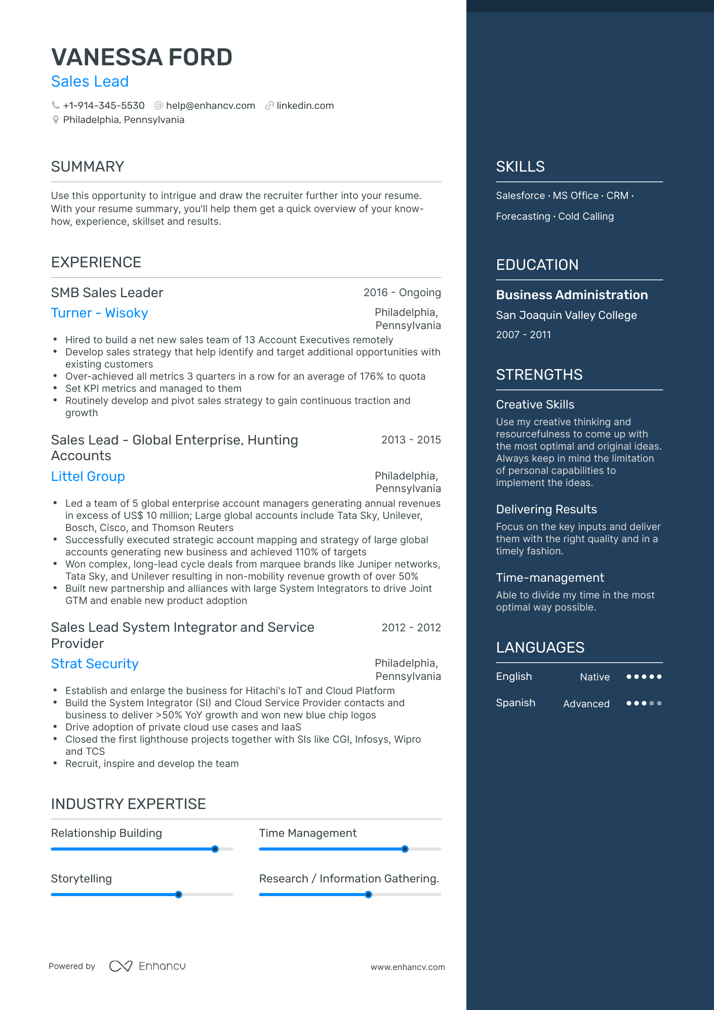 Sales Lead Resume Examples & Guide for 2023 (Layout, Skills, Keywords ...