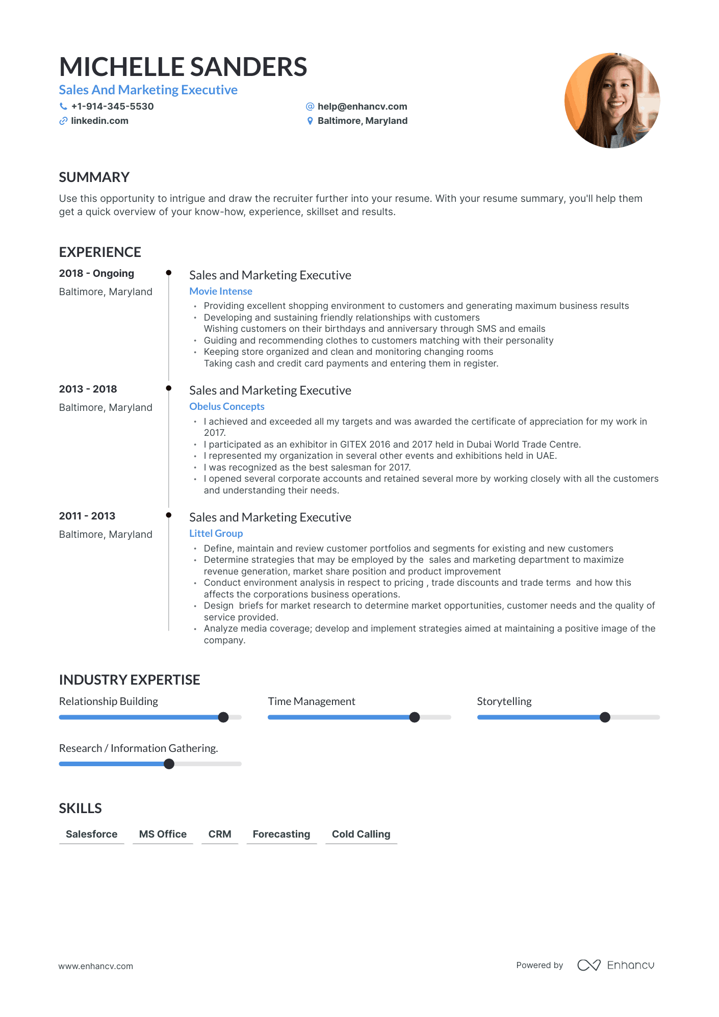 Sales And Marketing Executive Resume Examples & Guide for 2023 (Layout ...