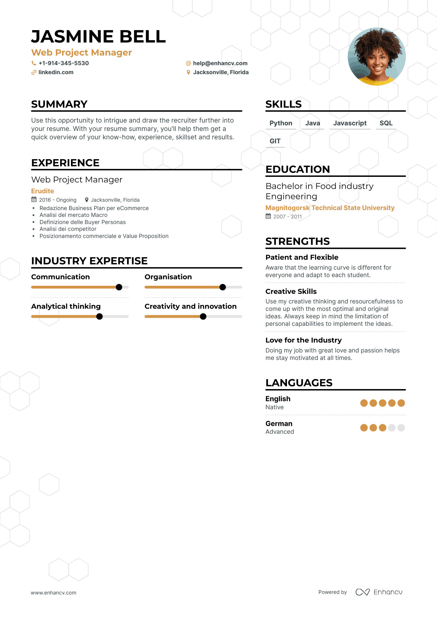 Web Project Manager Resume Examples & Guide for 2023 (Layout, Skills ...