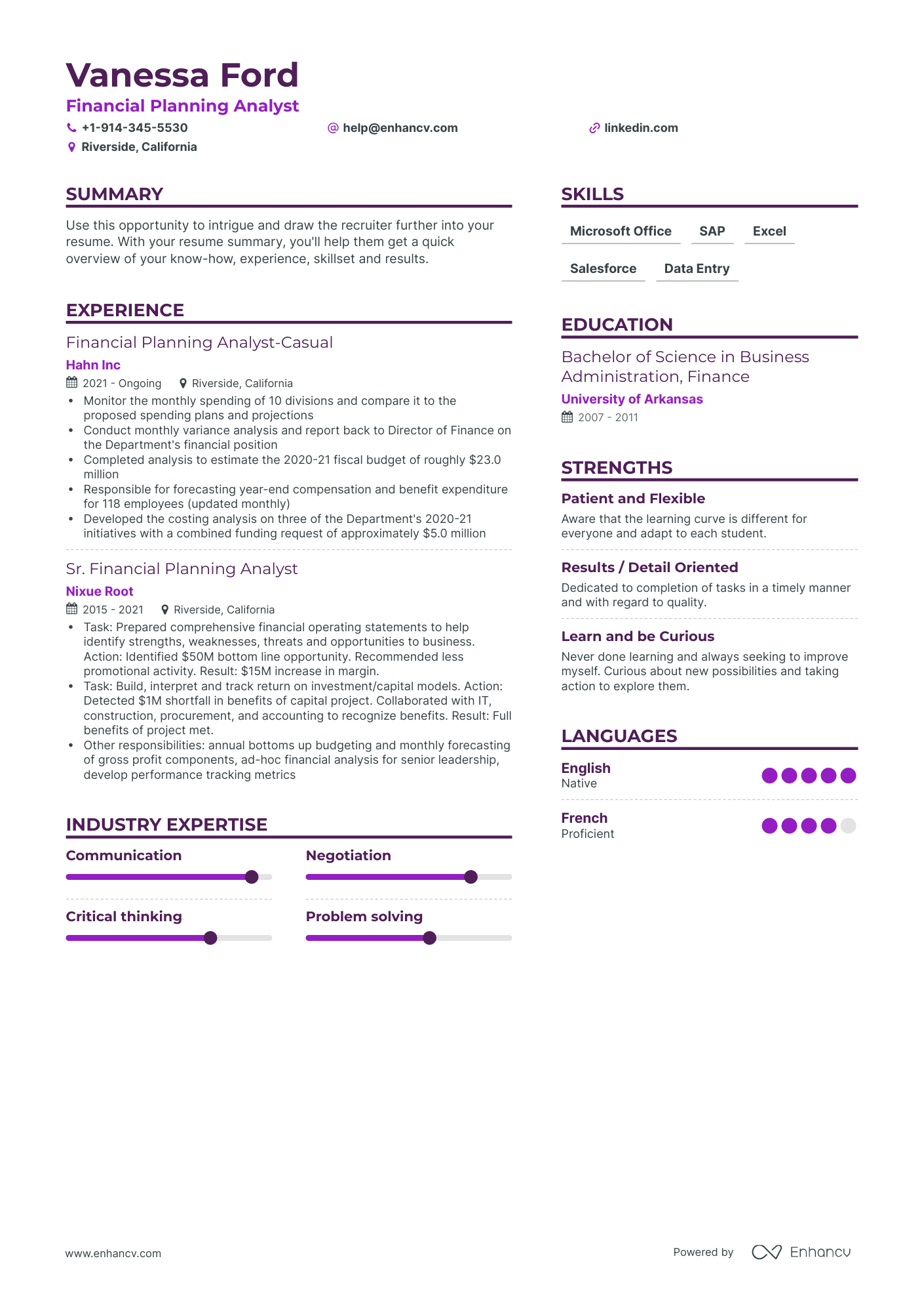 Financial Planning Analyst Resume Examples & Guide for 2023 (Layout ...