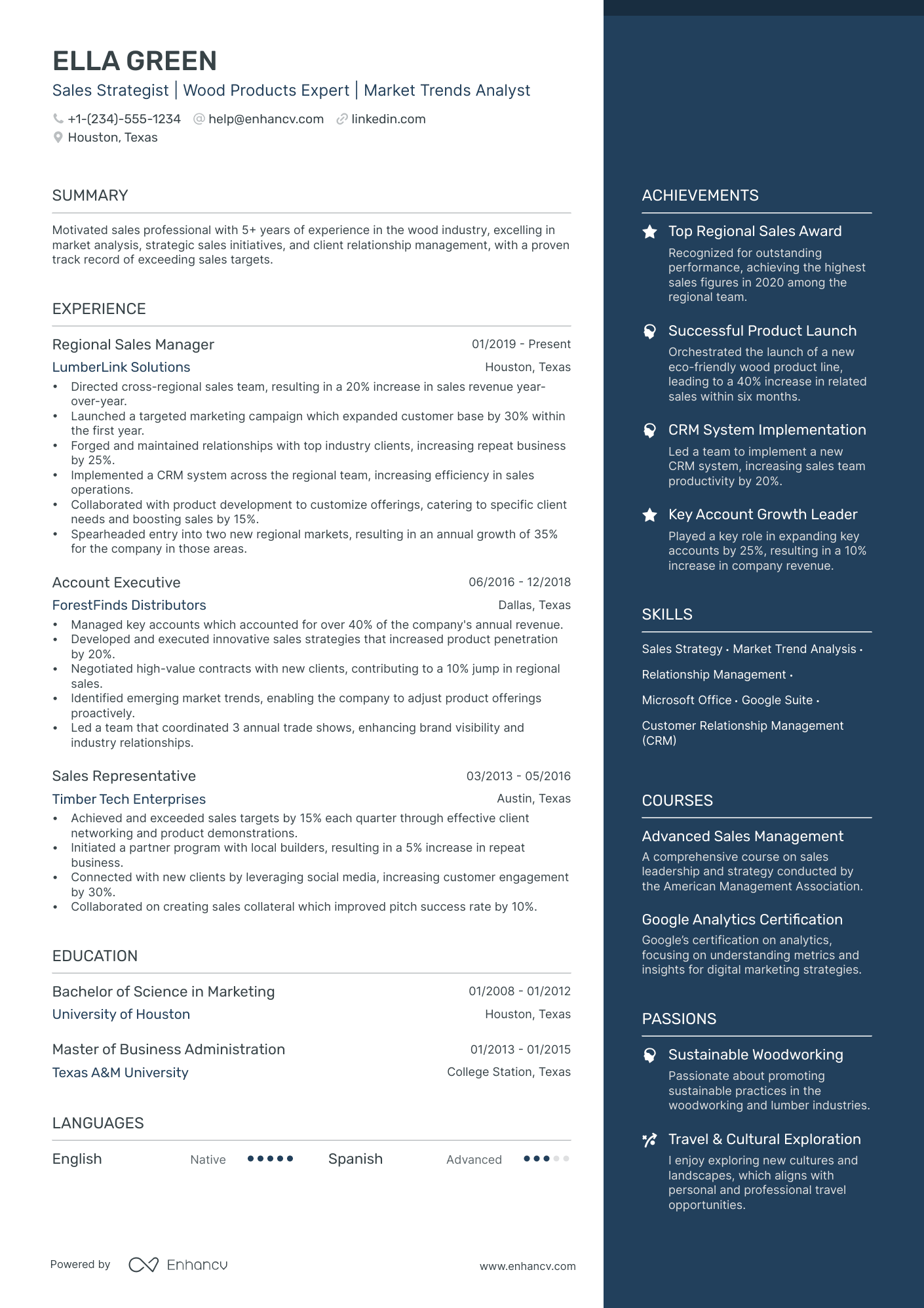 5 Sales And Marketing Executive Resume Examples & Guide for 2024