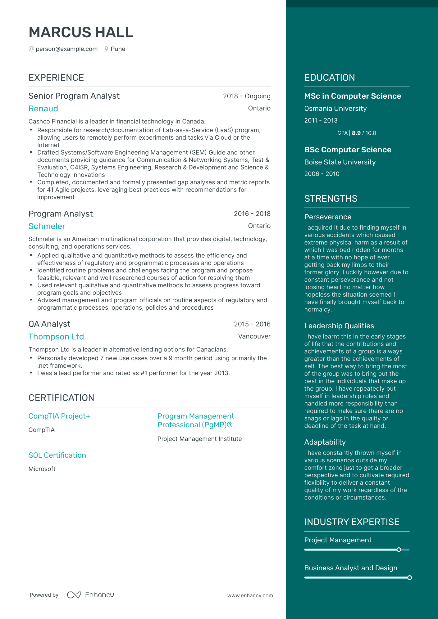 Program Analyst Resume Examples & Guide for 2023 (Layout, Skills ...