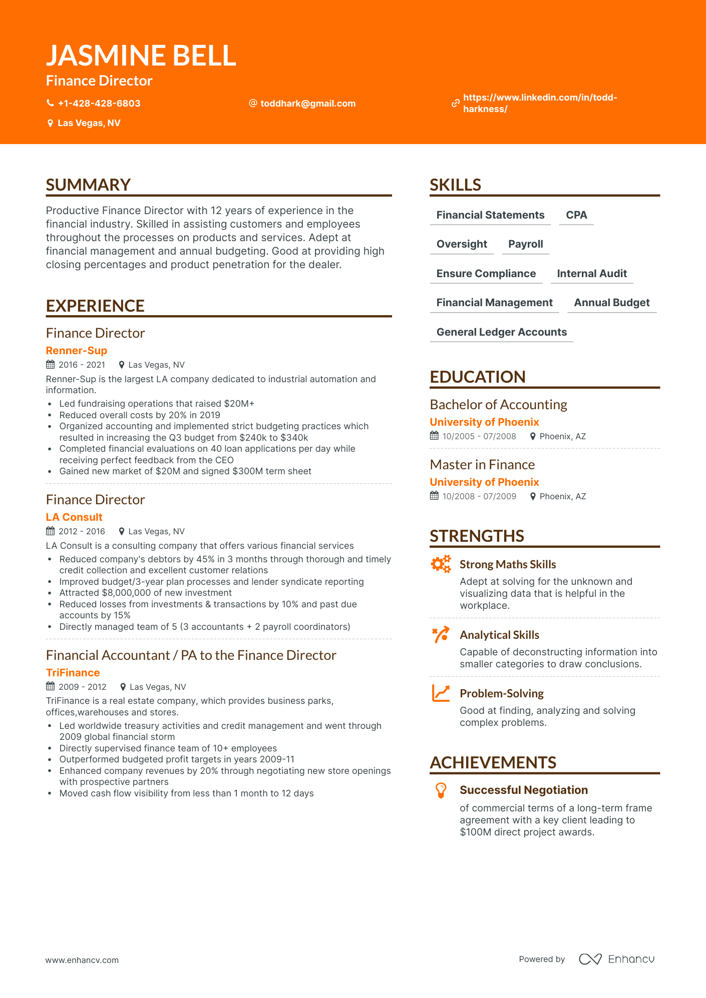 5 Finance Director Resume Examples & Guide for 2024