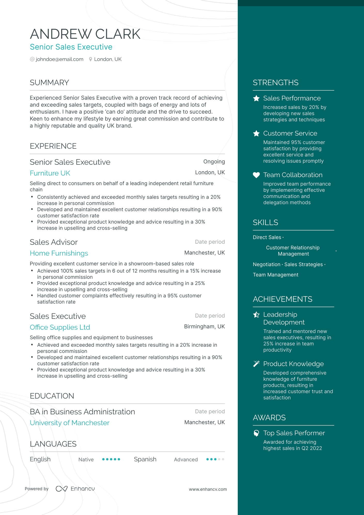 5 Sales Executive Resume Examples & Guide for 2024