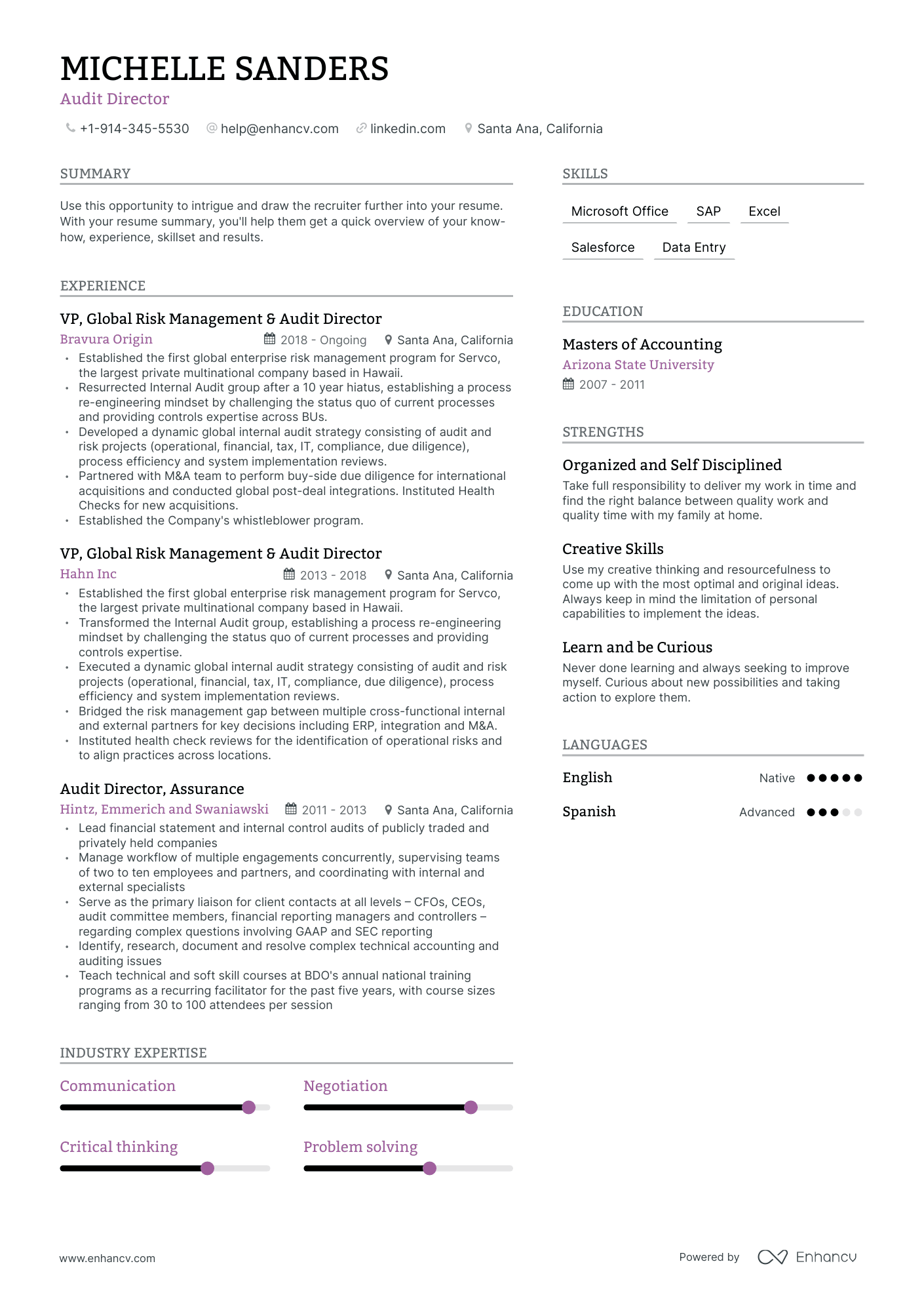 Audit Director Resume Examples & Guide for 2023 (Layout, Skills ...