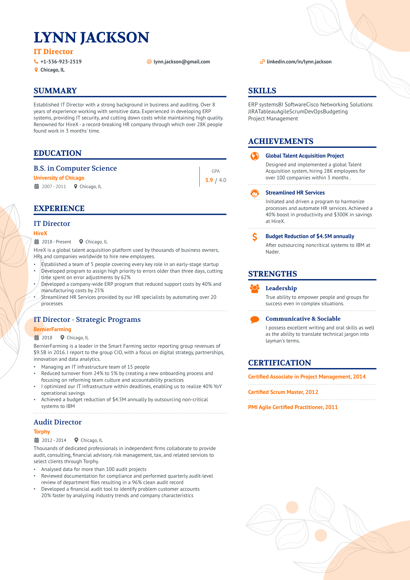 sample resume for it director position