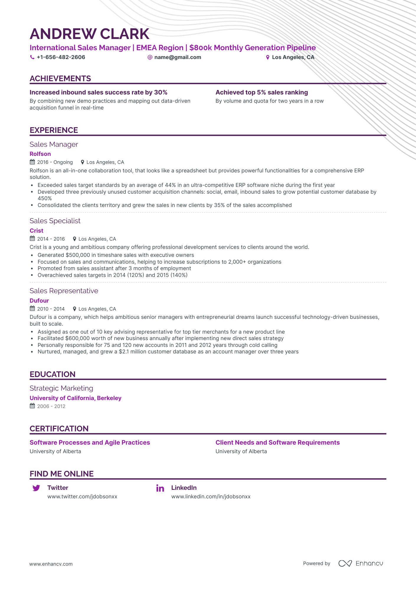 23 Sales Manager Resume Examples & Guide for 2024