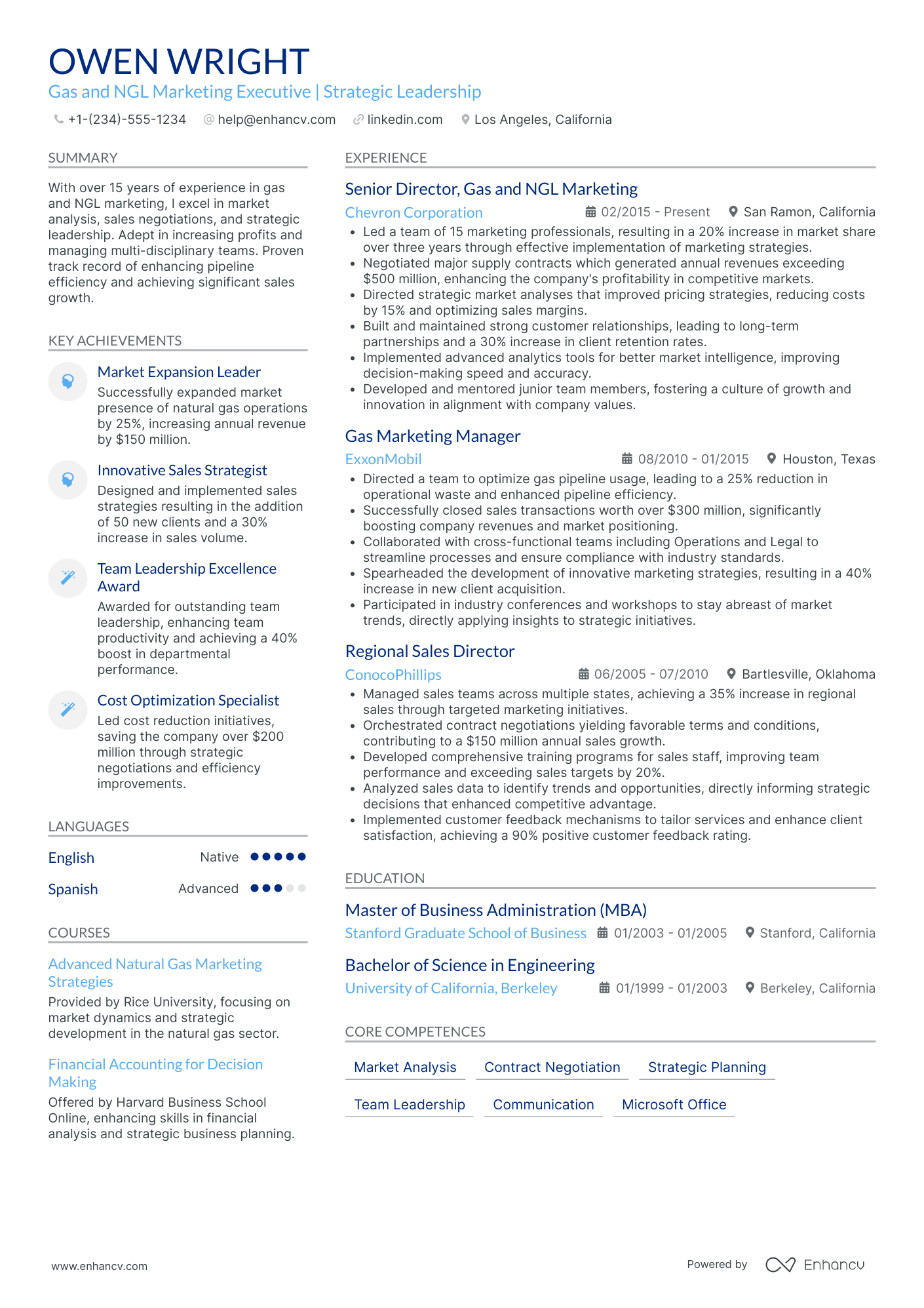 Chief Marketing Officer in Energy & Utilities Resume Example