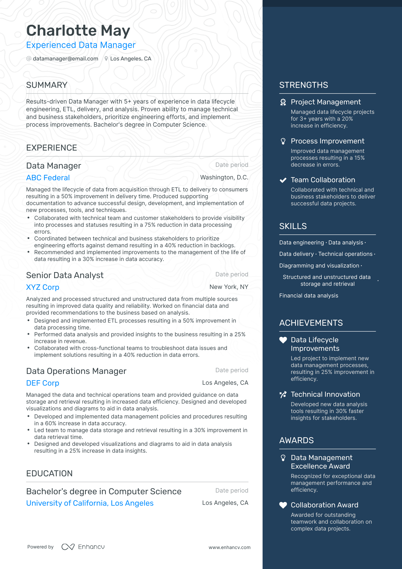 resume examples data management