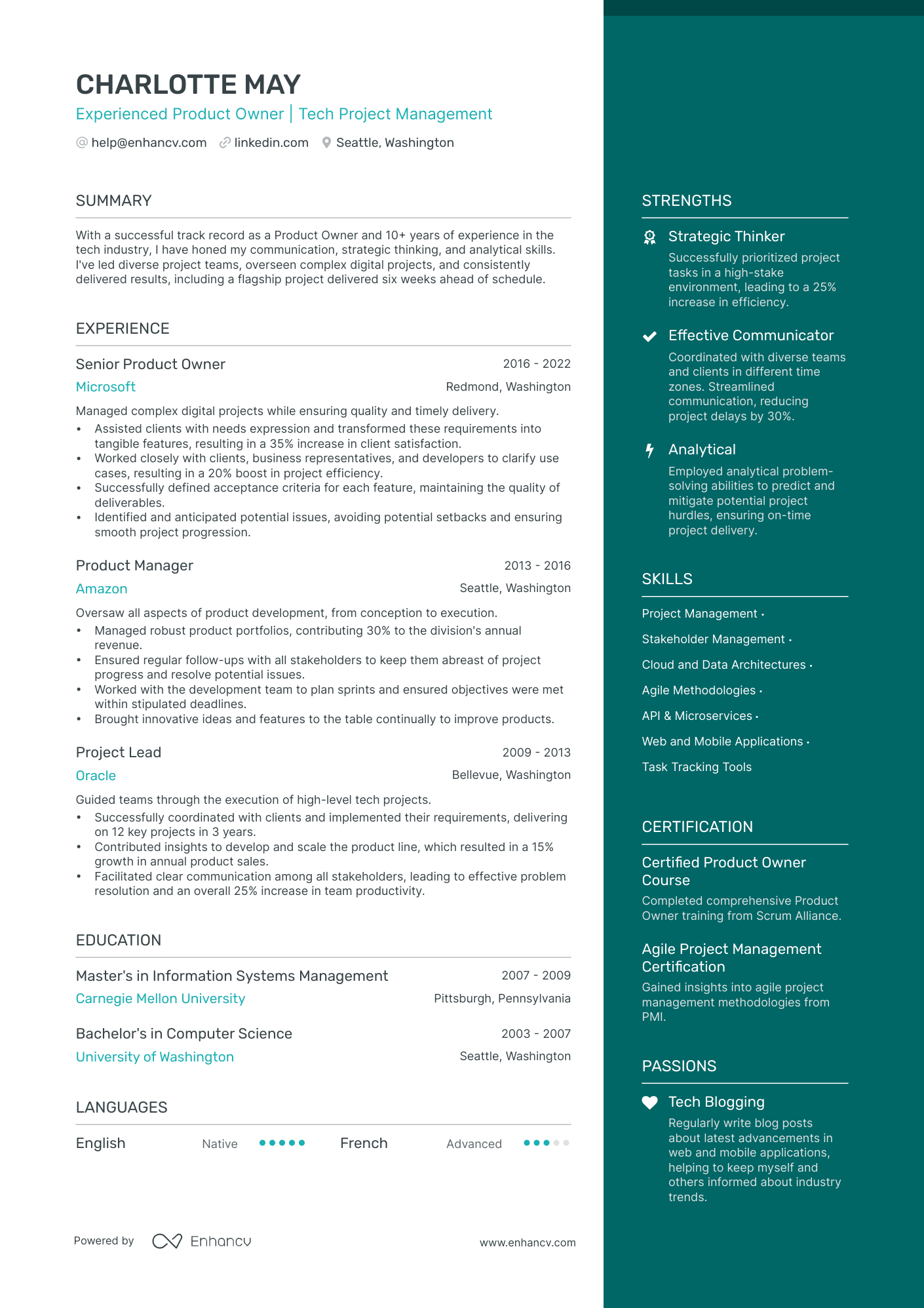 5 Product Owner Resume Examples & Guide for 2024