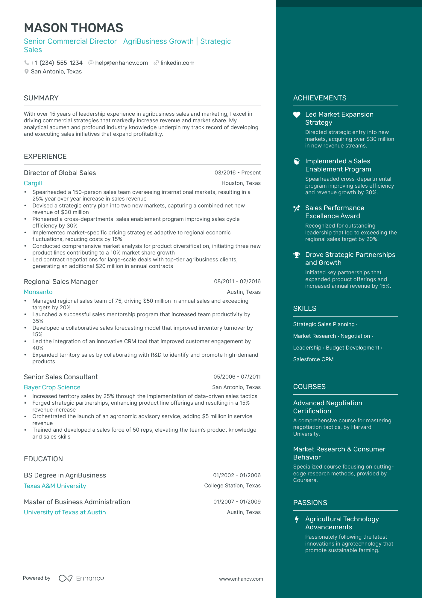 5 Commercial Director Resume Examples & Guide for 2024