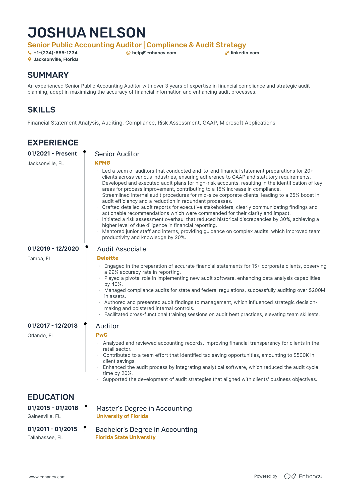 10 Public Accounting Auditor Resume Examples & Guide for 2026