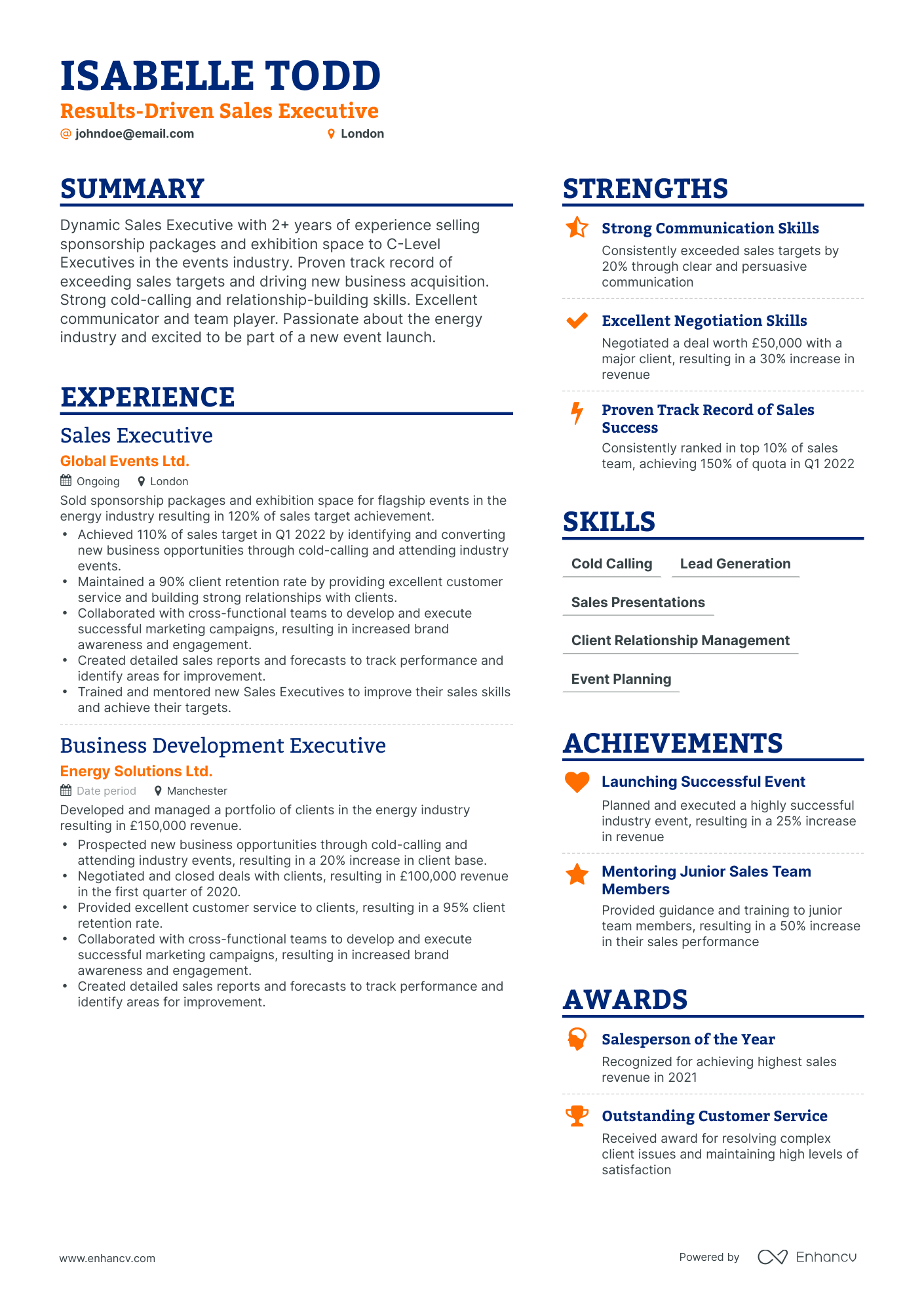 resume format in sales executive