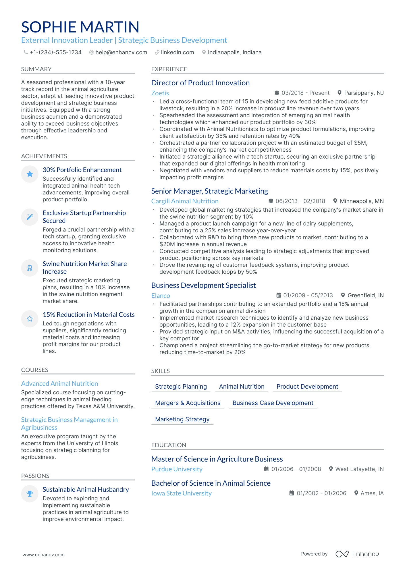 5 Executive Manager Resume Examples & Guide for 2024