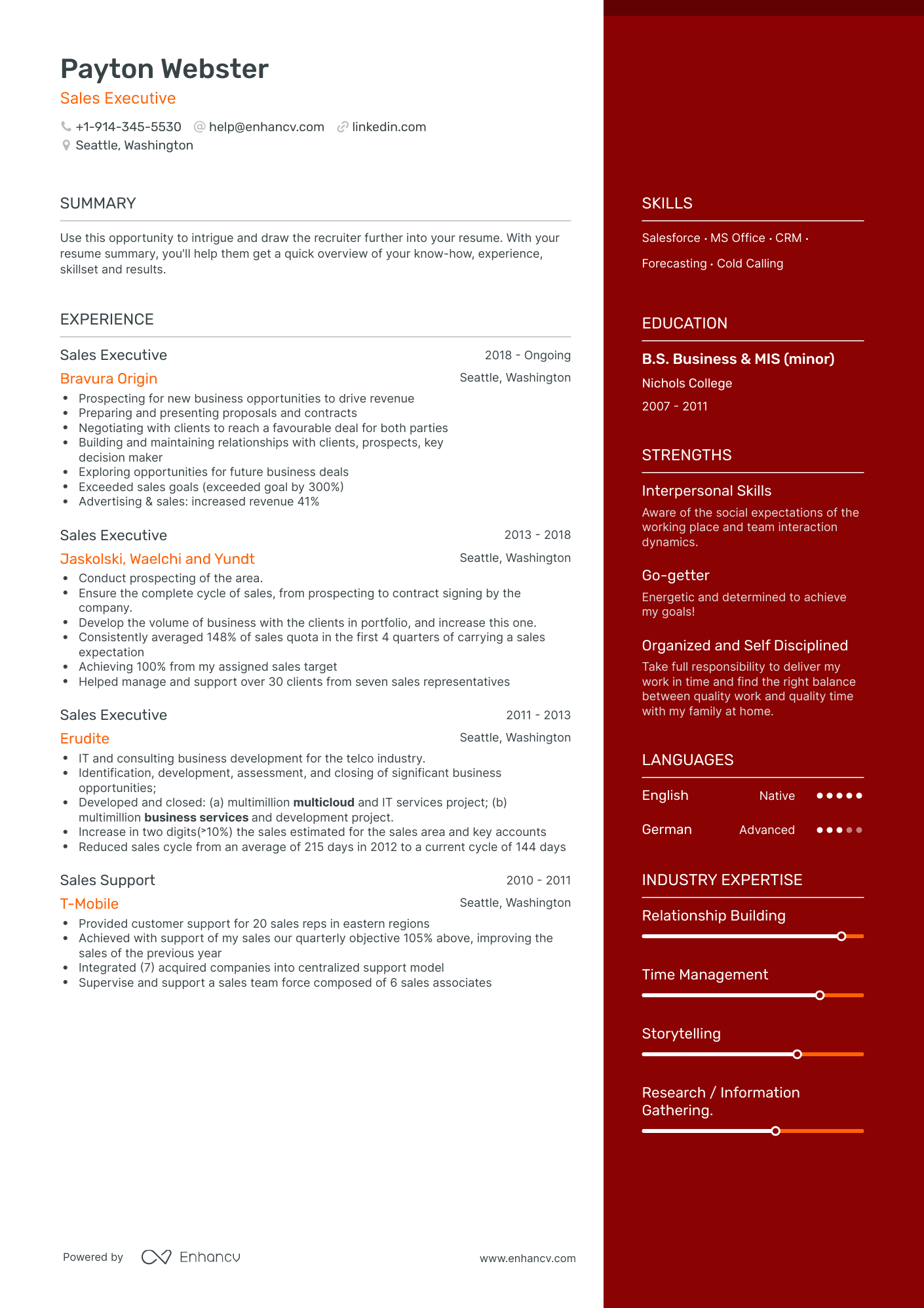 Sales Executive Resume Examples & Guide for 2023 (Layout, Skills ...