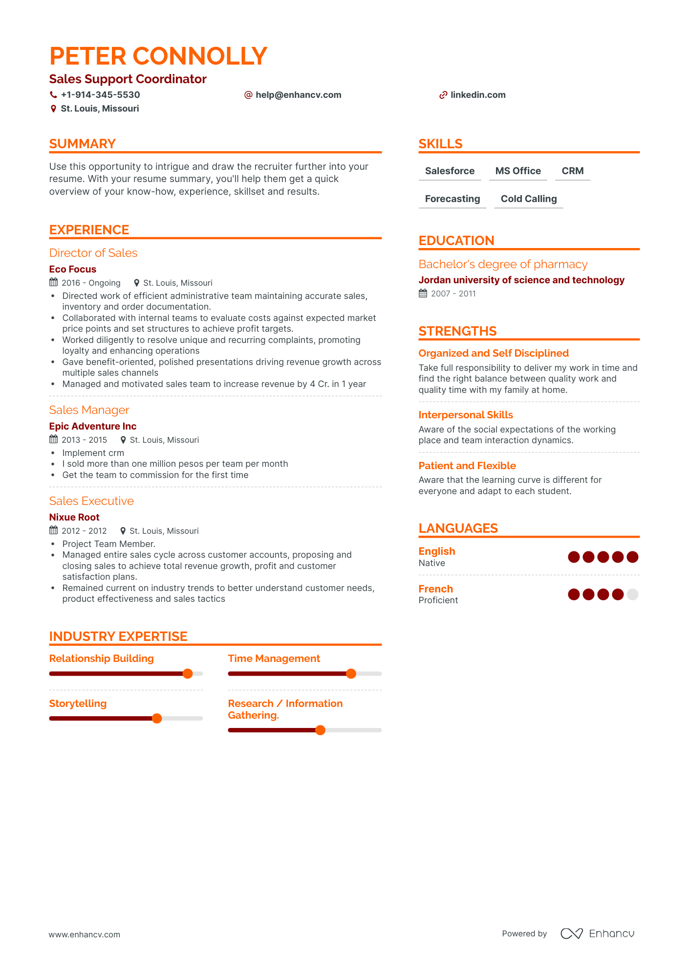 Sales Support Coordinator Resume Examples & Guide for 2023 (Layout ...