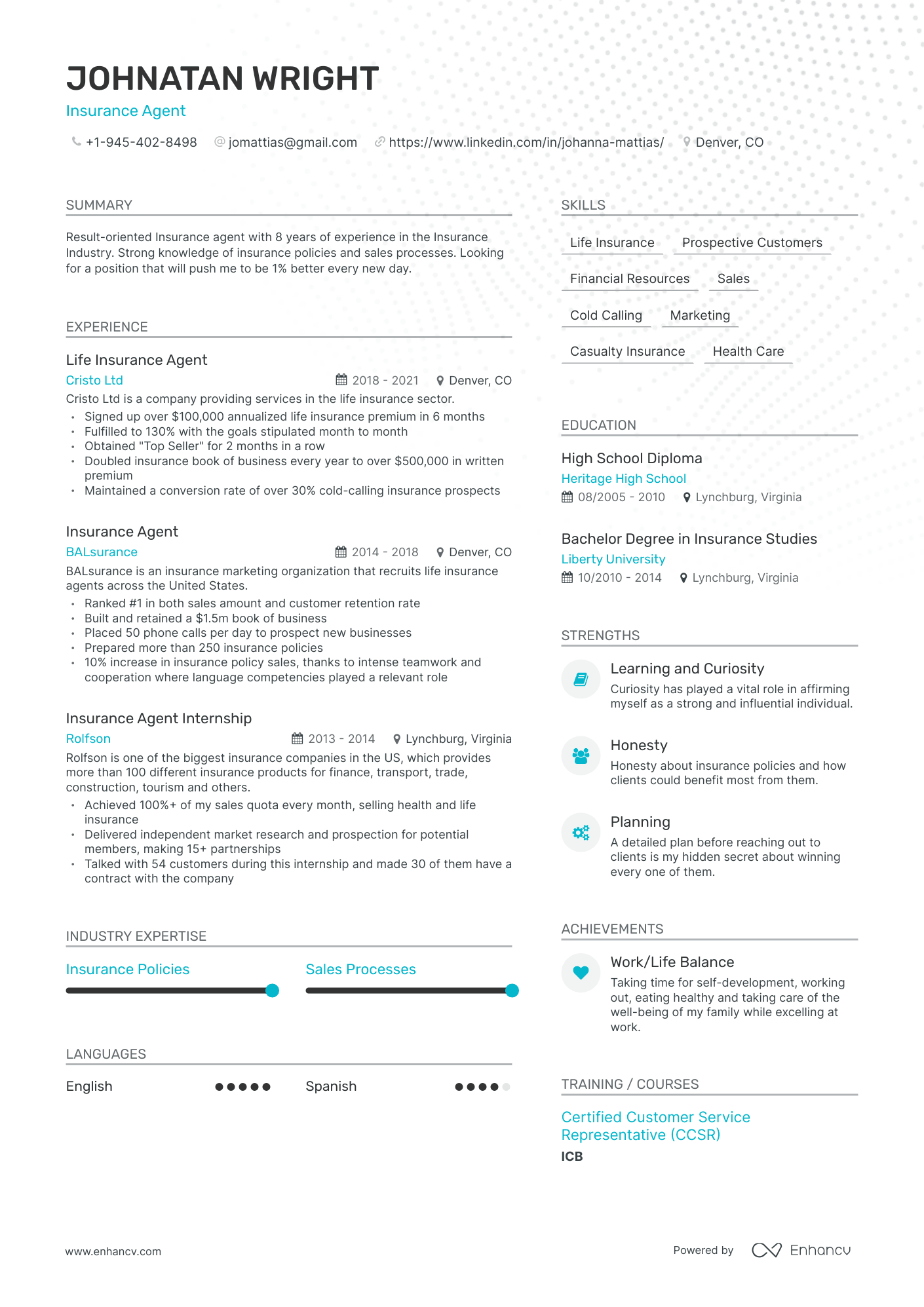 Auto Insurance Agent Resume Examples