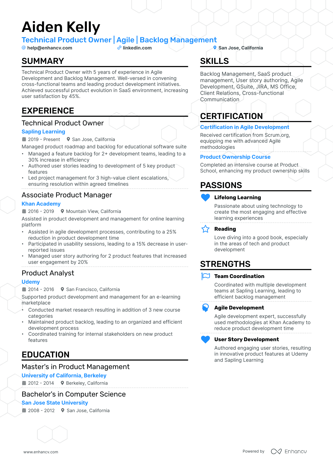 10 Technical Product Owner Resume Examples & Guide for 2026