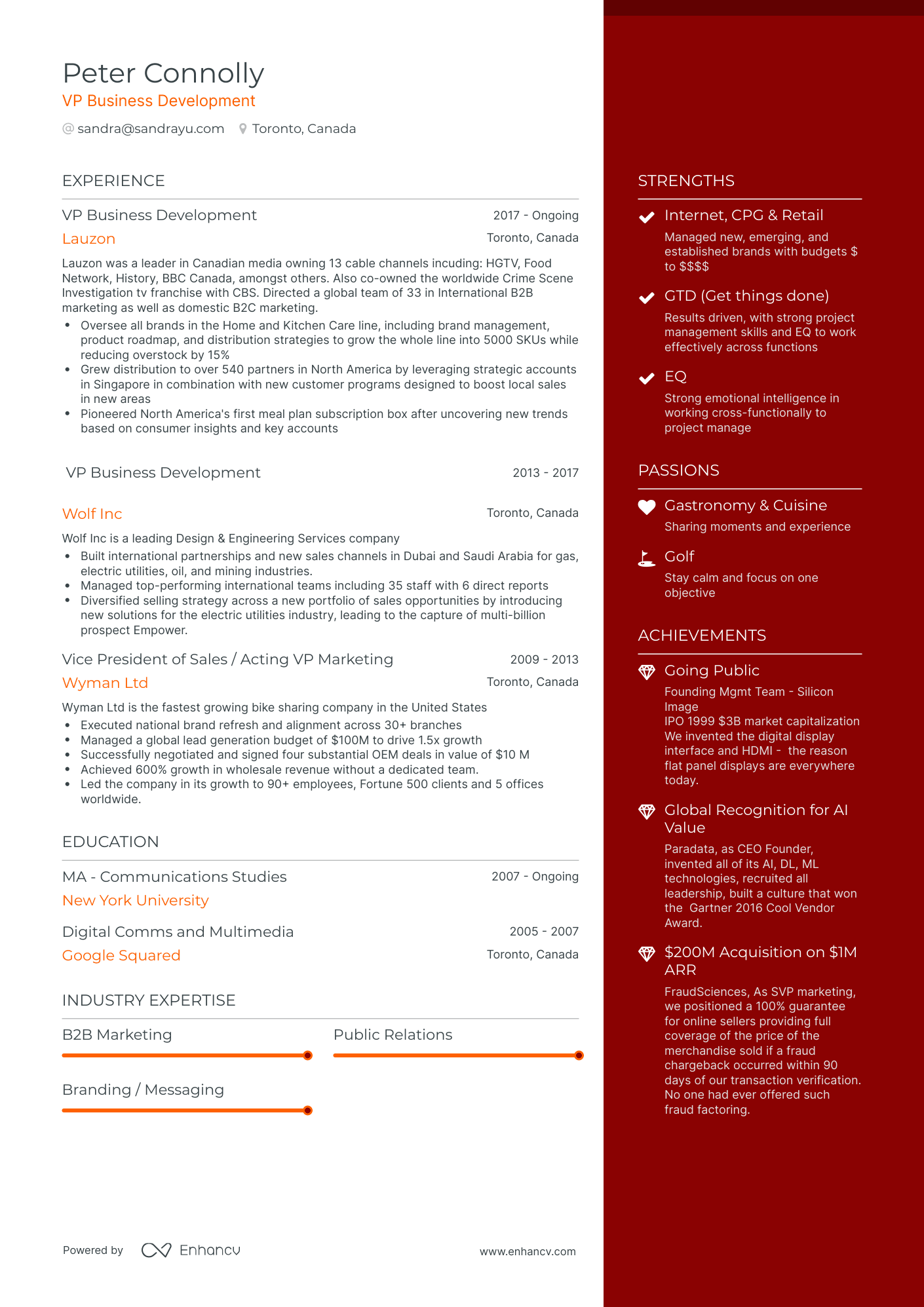 5 VP Business Development Resume Examples & Guide for 2024