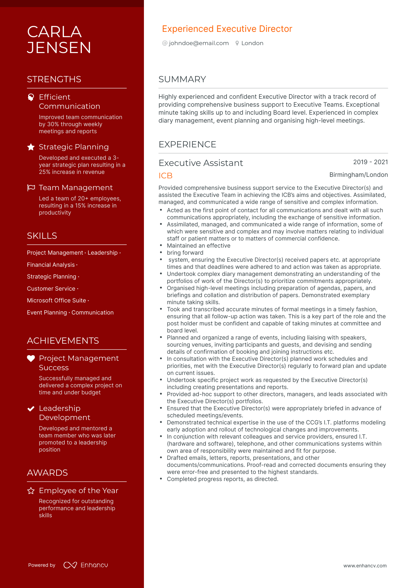 5 Executive Director Resume Examples & Guide for 2024