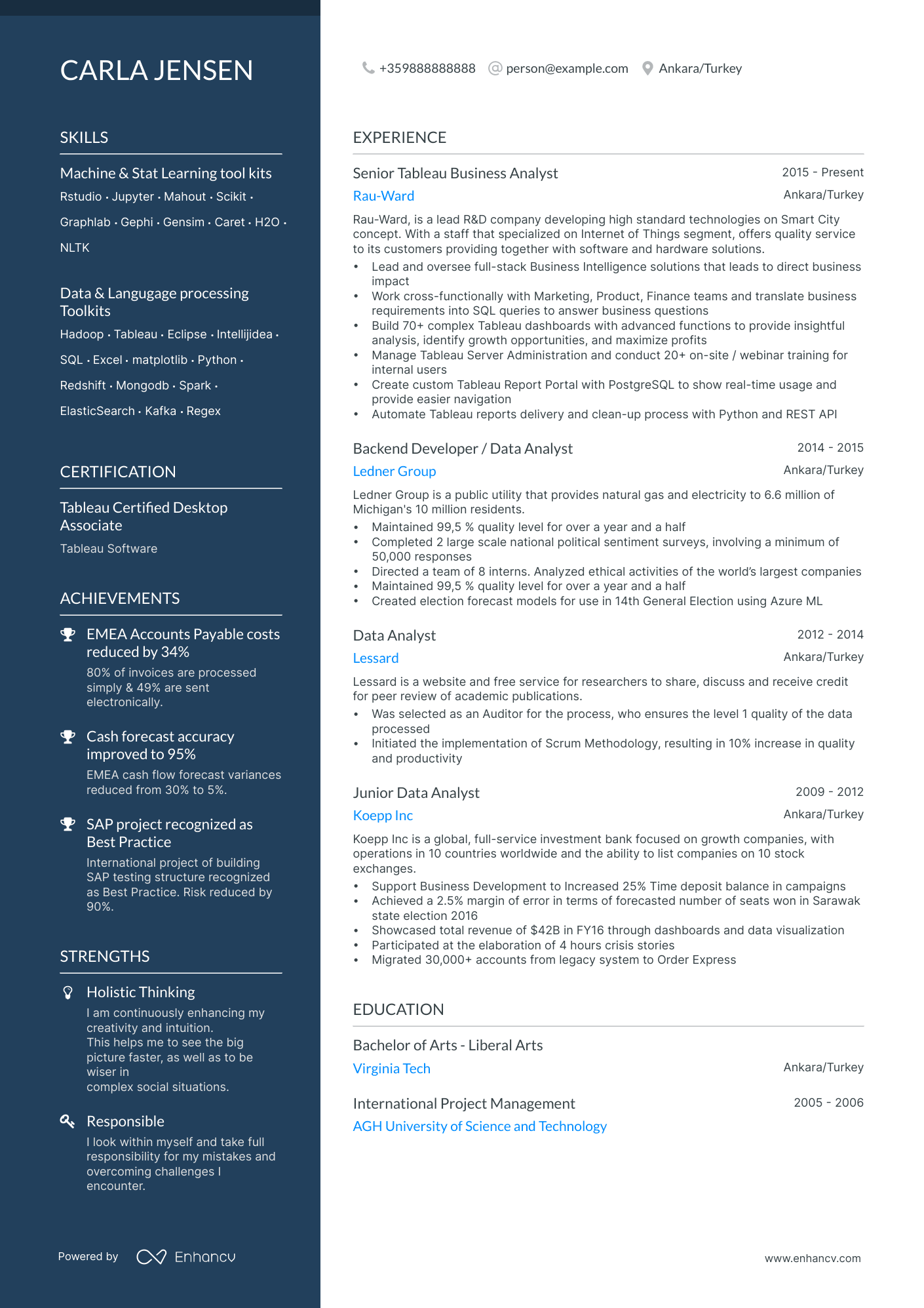 5 Tableau Business Analyst Resume Examples & Guide for 2024